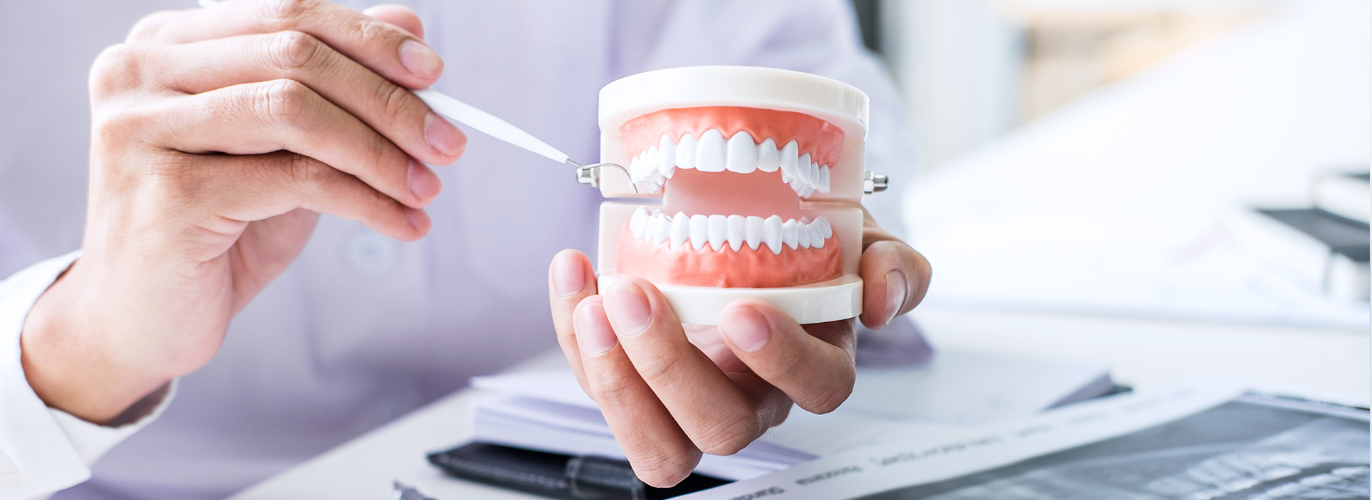 A person s hand holding a cup with a model of teeth, set against a blurred background.