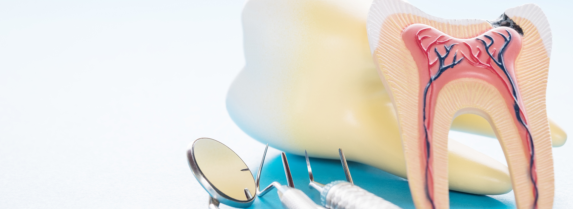 The image shows a toothbrush with bristles and a dental model of teeth and gums, set against a background that includes a toothpaste tube and a blue and yellow color scheme.